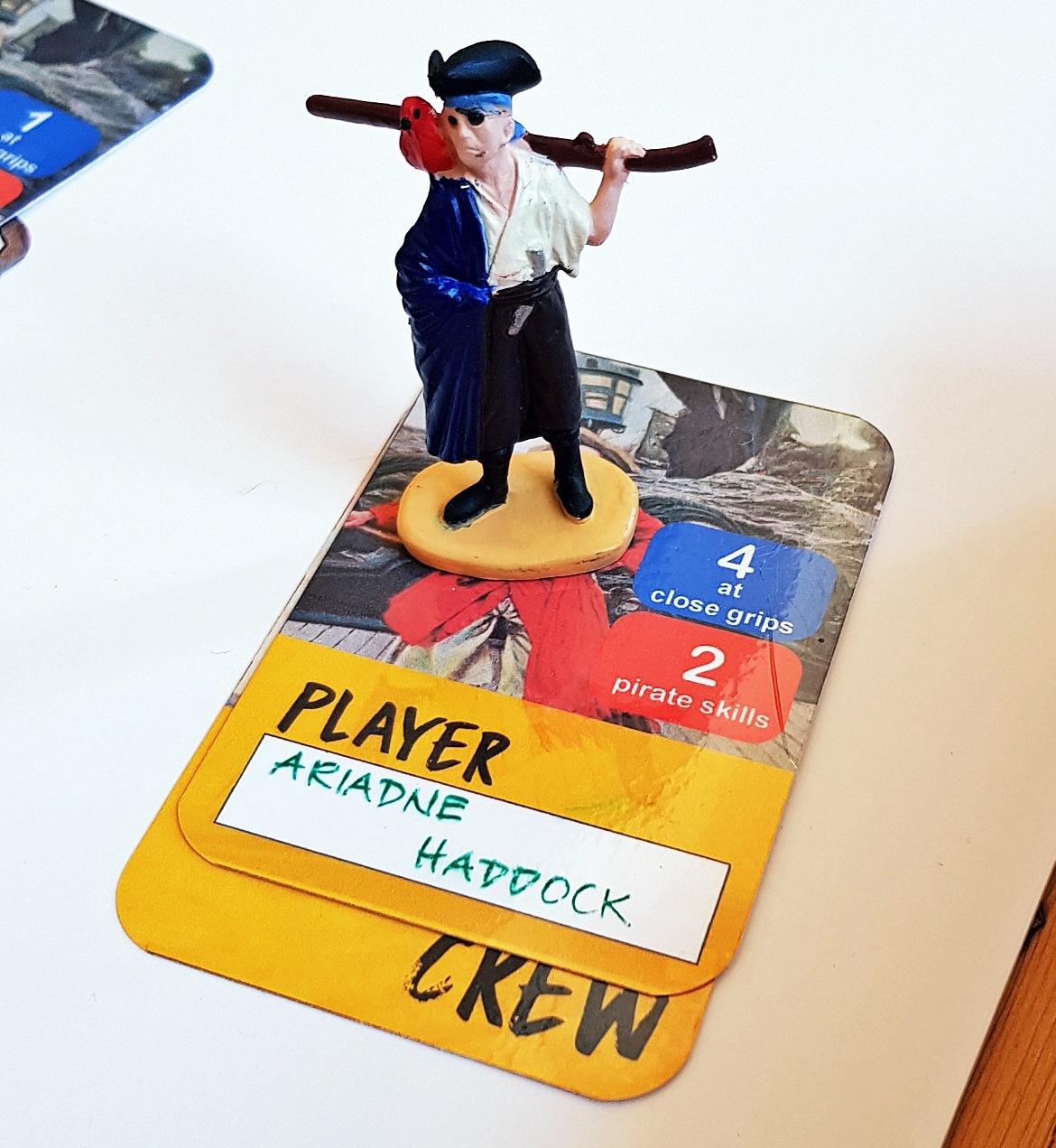 Captain Ariadne Haddock of Rackham's Ghost - Blood and Thunder Megagame After Action Report by BeckyBecky Blogs