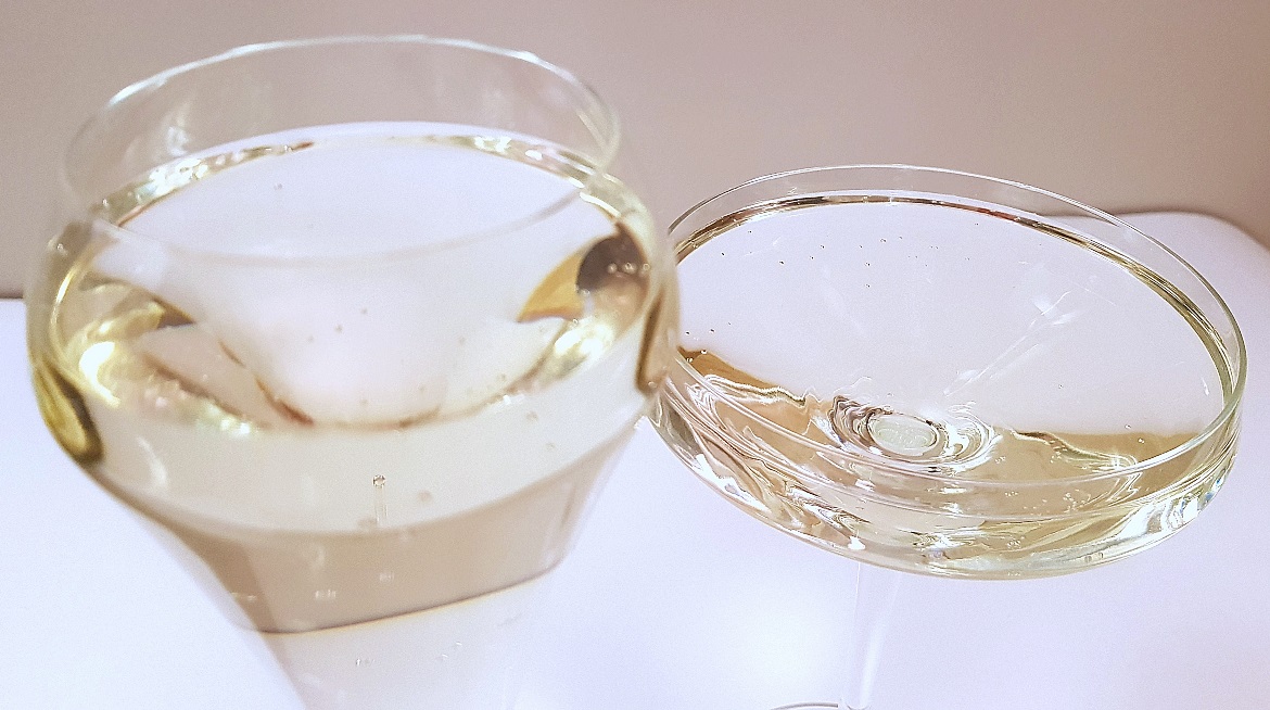 Champagne flute and coupe - Christmas Presents Round Up by BeckyBecky Blogs