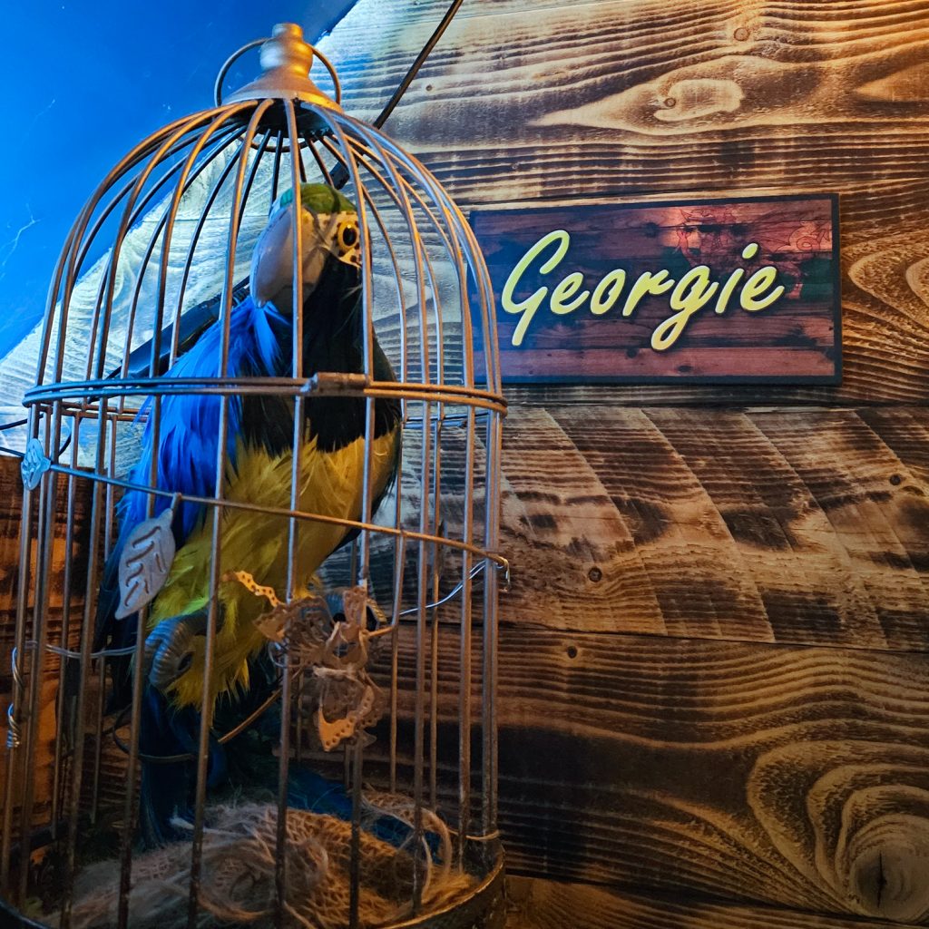 A fake parrot in a cage, with the name tag "Georgie"