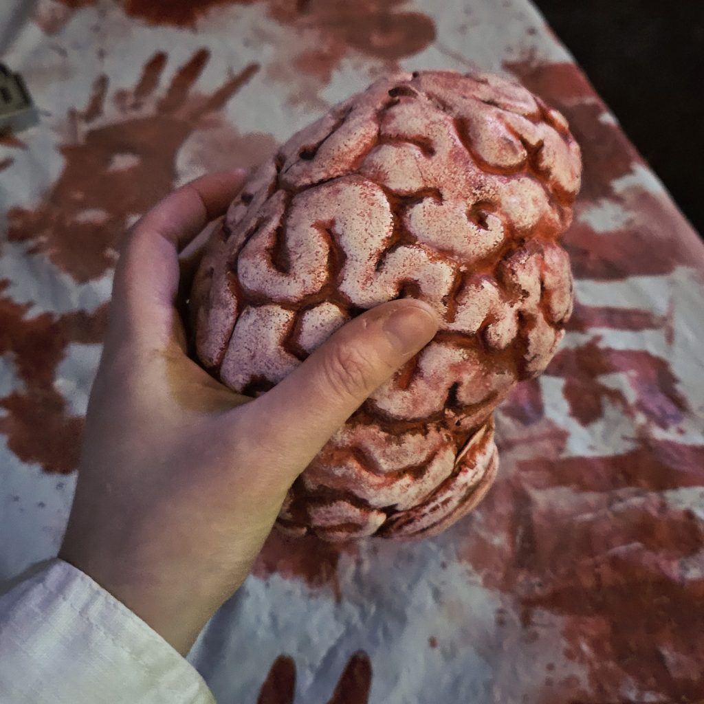 Becky's hand holding a plastic brain