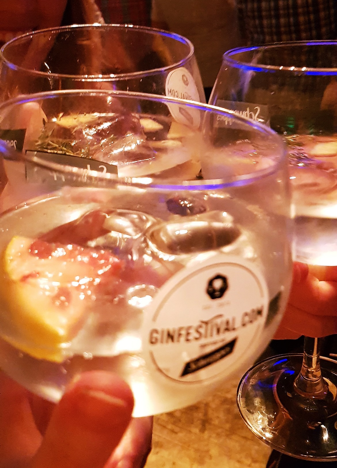 Gin Festival - June 2018 Monthly Recap by BeckyBecky Blogs