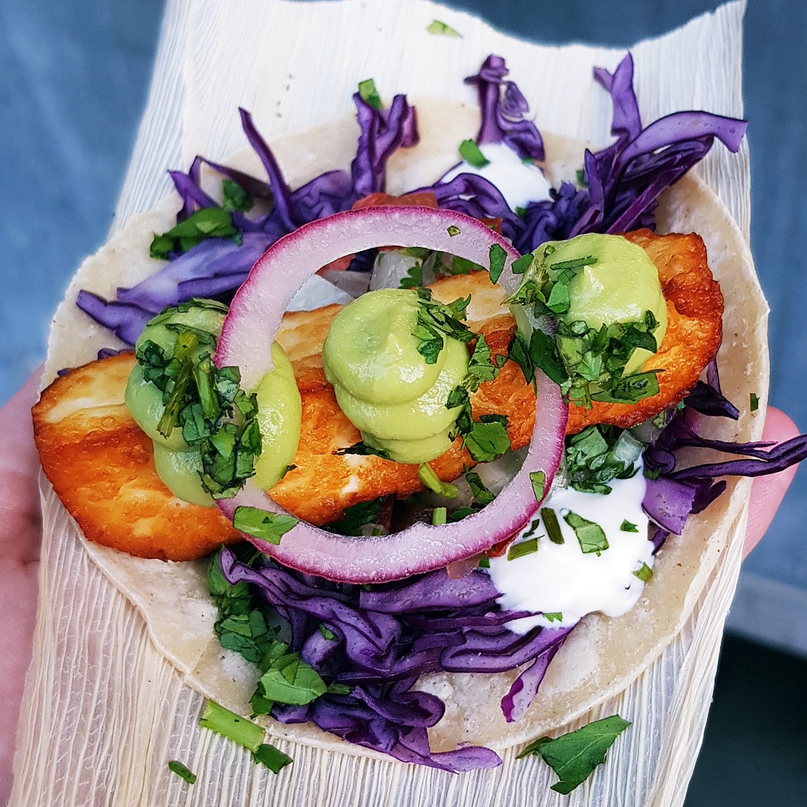 Halloumi taco at Leeds Food and Drink Festival - June 2018 Monthly Recap by BeckyBecky Blogs