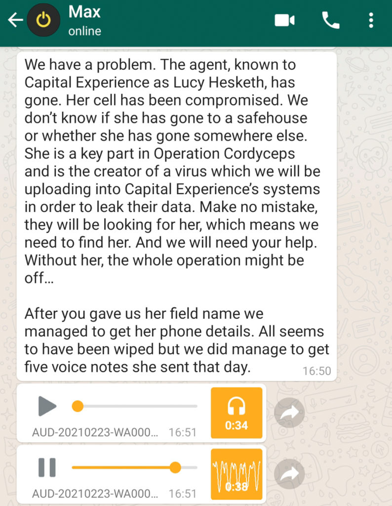 Voicemails from Lucy - The Lucky Ones, immersive theatre experience by Riptide Leeds, review by BeckyBecky Blogs