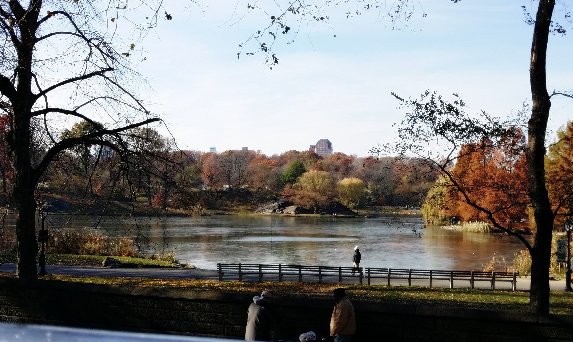 Central Park - New York New York, travel blog by BeckyBecky Blogs