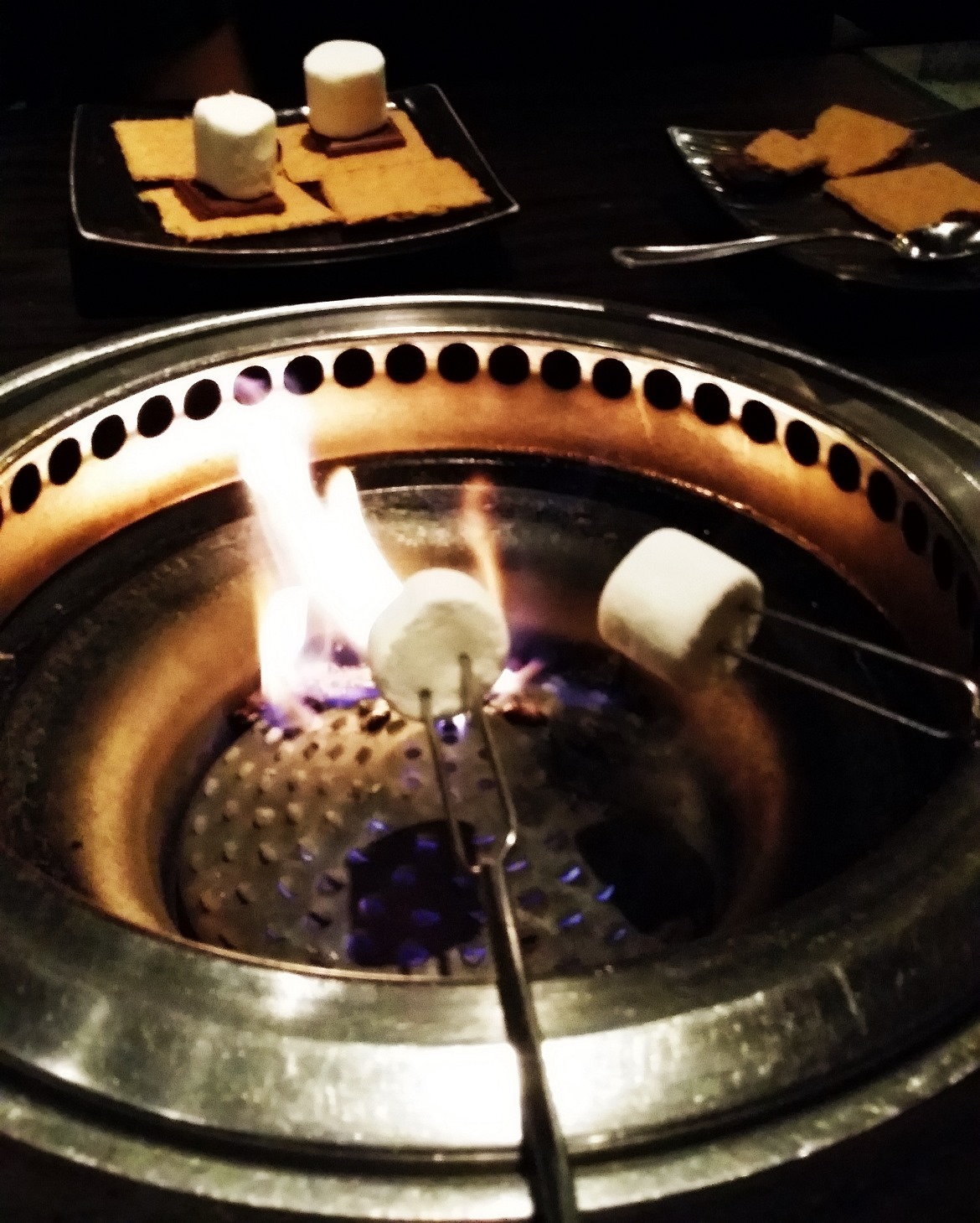 Burning smores - New York New York, travel blog by BeckyBecky Blogs