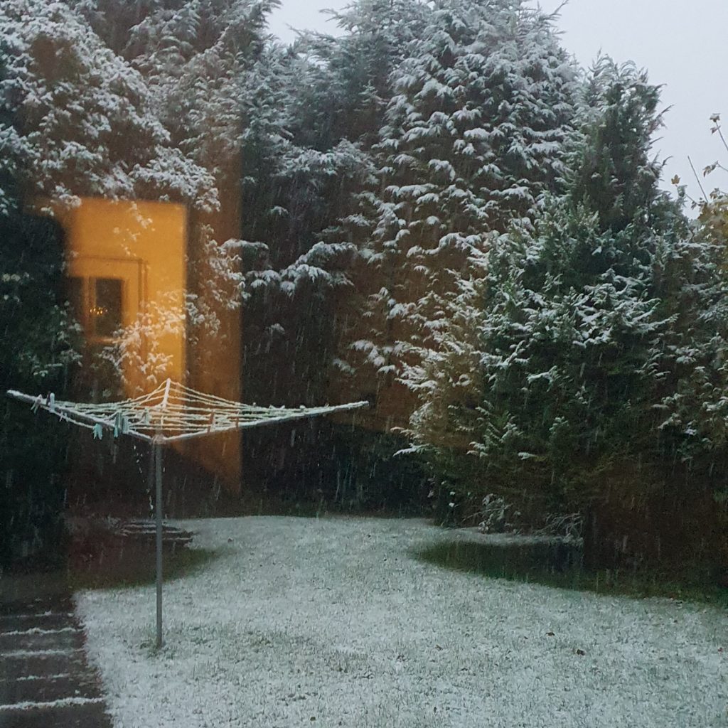 A garden covered in snow