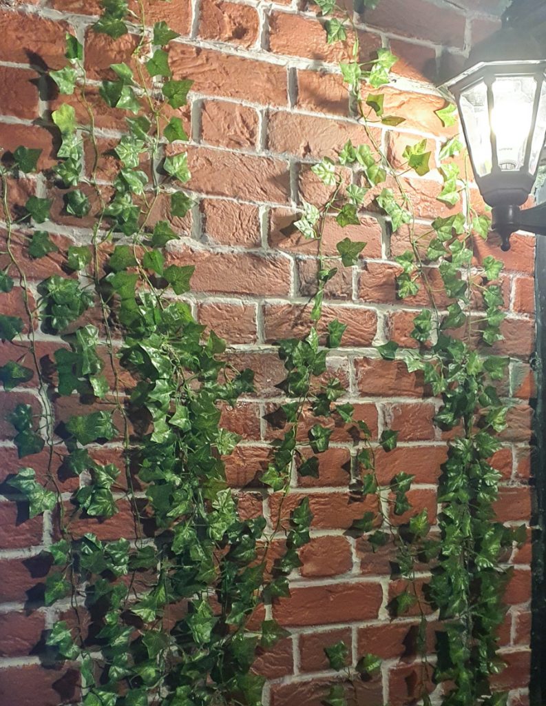 A painted brick wall with ivy over it